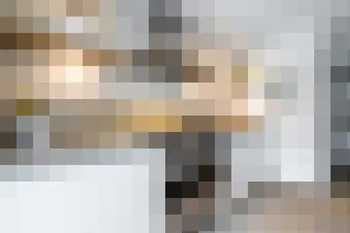 Vitóriadreef 17 Utrecht thumbnail 23