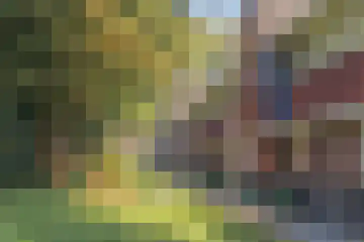 Vitóriadreef 17 Utrecht thumbnail 52