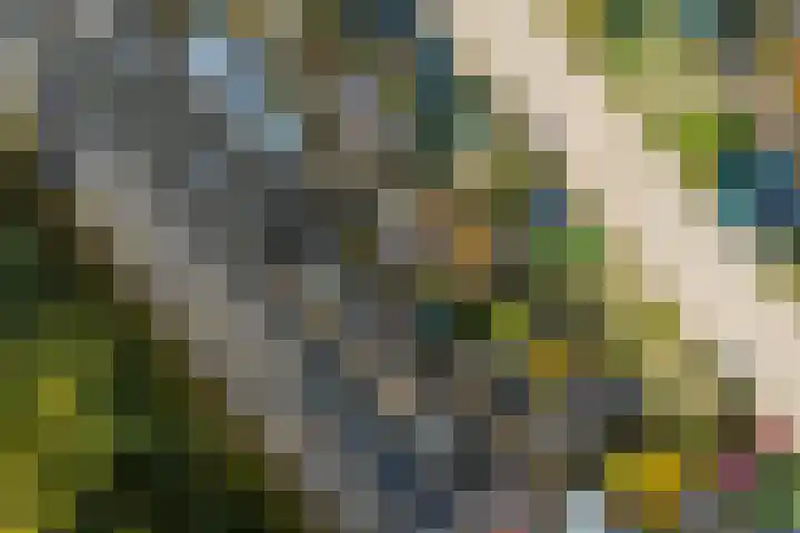 Vitóriadreef 17 Utrecht thumbnail 56