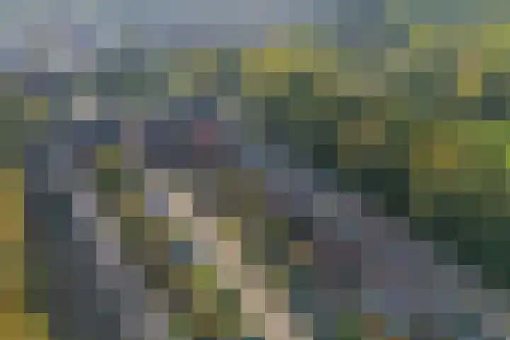 Vitóriadreef 17 Utrecht thumbnail 59