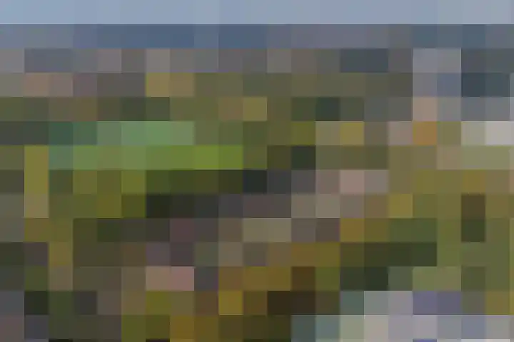 Vitóriadreef 17 Utrecht thumbnail 61