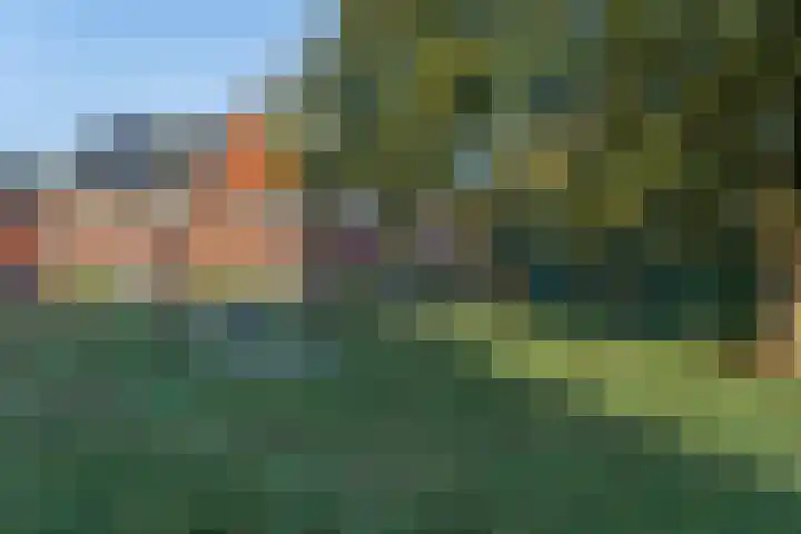 Vitóriadreef 17 Utrecht thumbnail 62