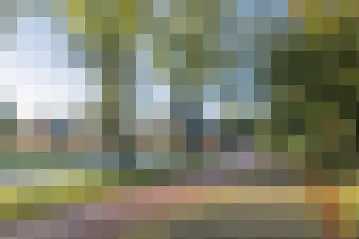 Vitóriadreef 17 Utrecht thumbnail 63