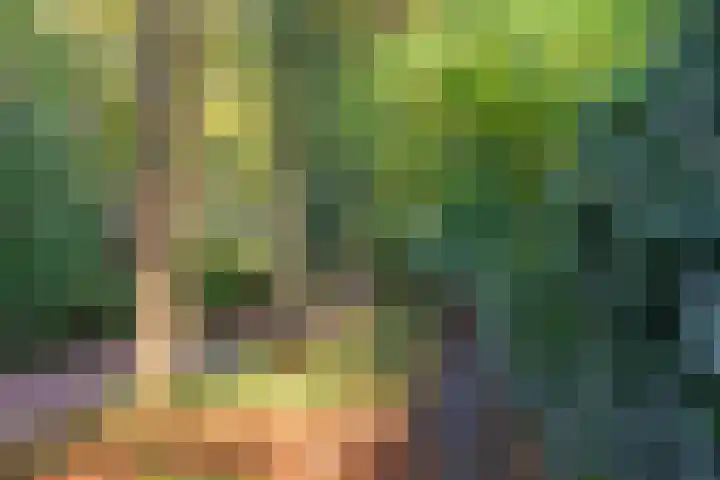 Vitóriadreef 17 Utrecht thumbnail 64