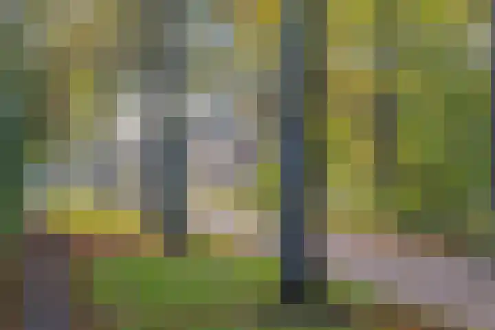 Vitóriadreef 17 Utrecht thumbnail 65