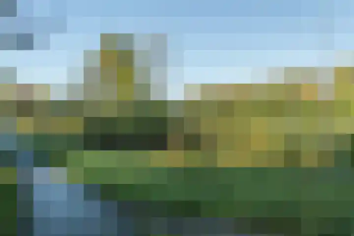 Vitóriadreef 17 Utrecht thumbnail 66