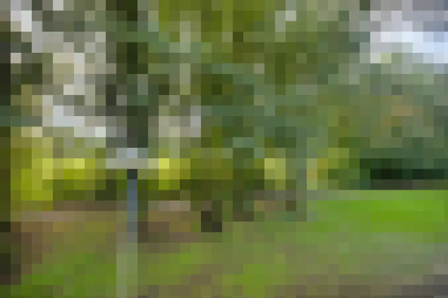 Vitóriadreef 21 Utrecht thumbnail 53