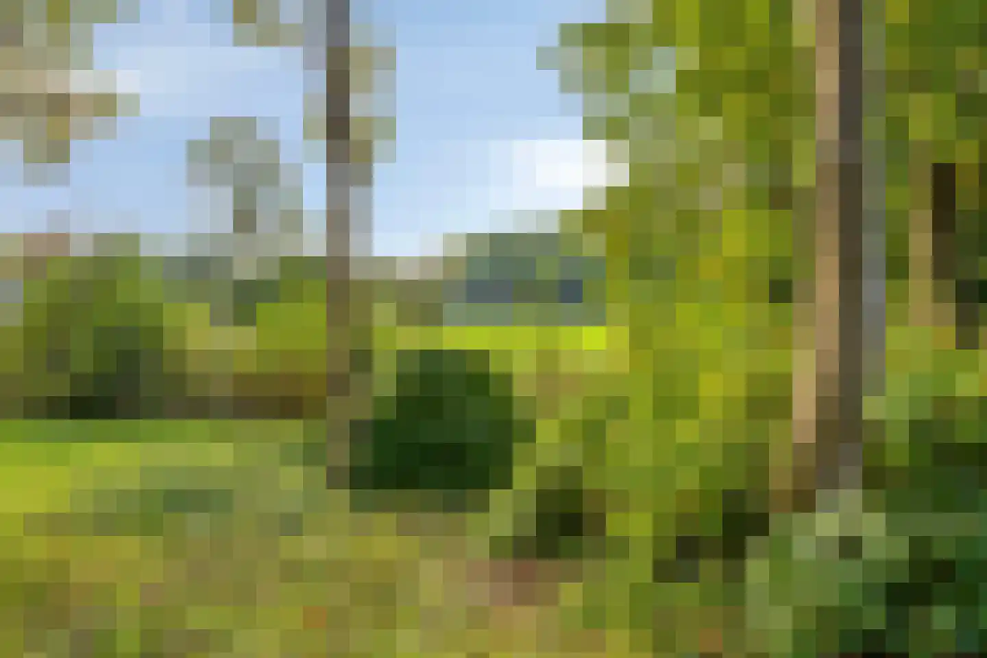 Vitóriadreef 21 Utrecht thumbnail 54