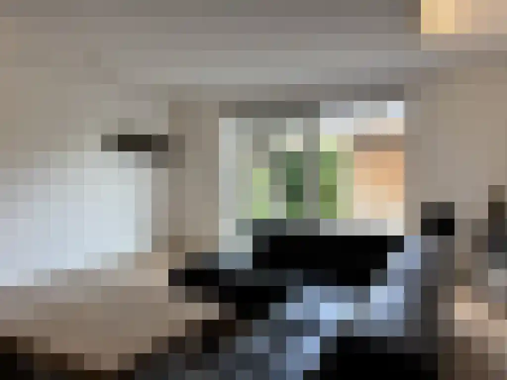 Vitóriadreef 23 Utrecht thumbnail 4