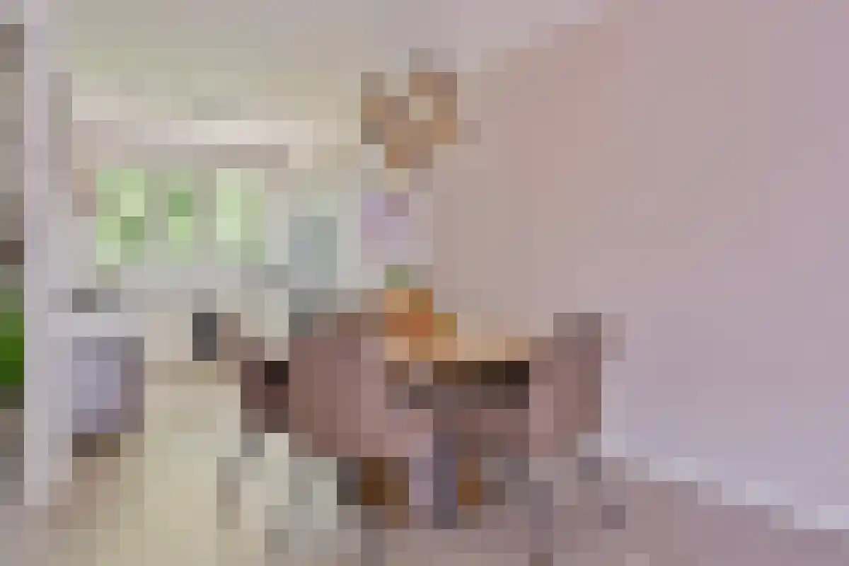 Vitóriadreef 27 Utrecht thumbnail 6