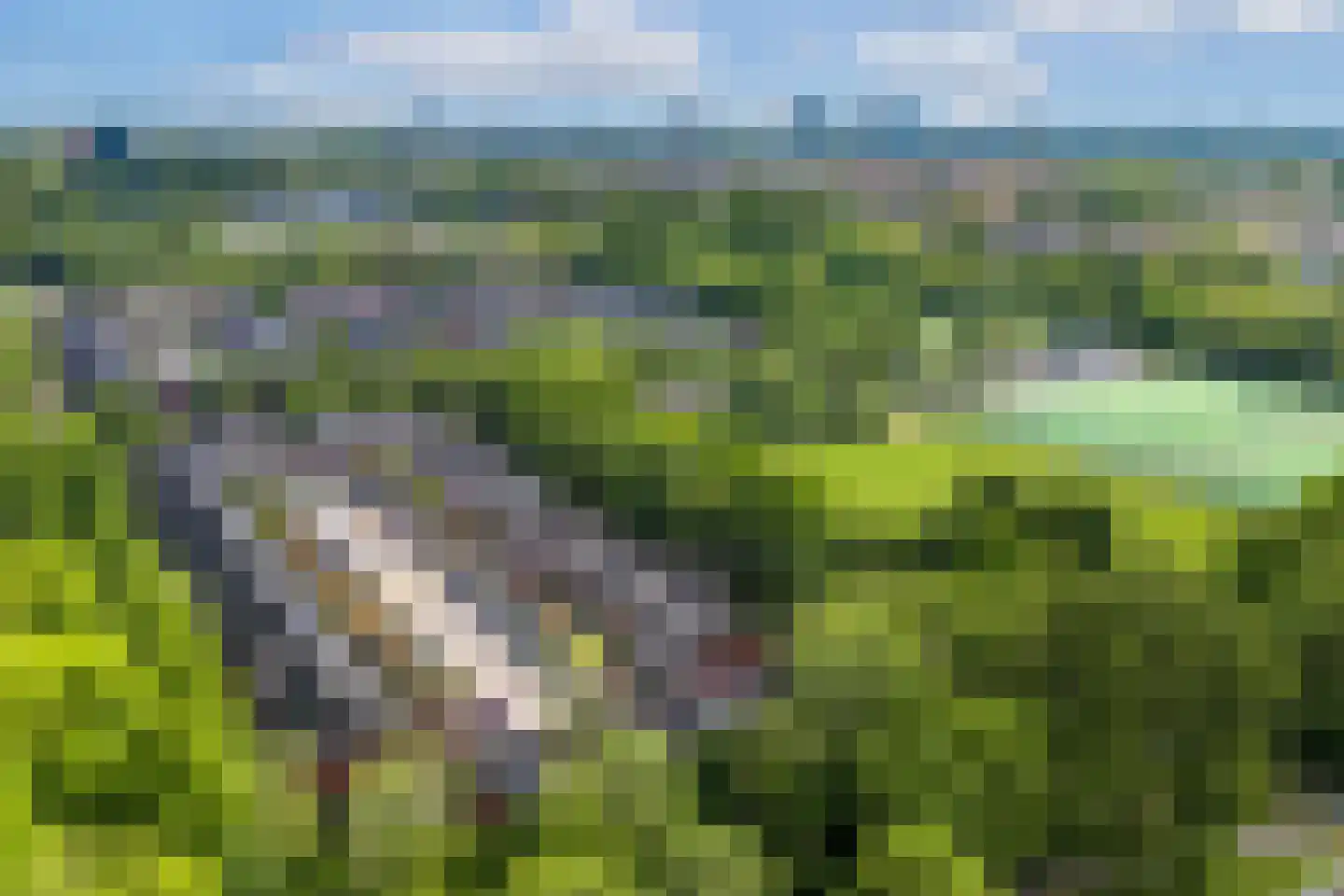 Vitóriadreef 43 Utrecht thumbnail 54