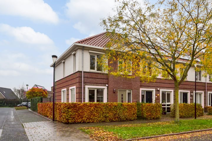 Vitruvius 1 en Wijk bij Duurstede foto