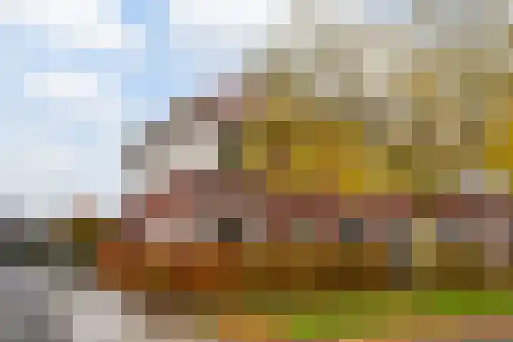 Vitruvius 1 Wijk bij Duurstede