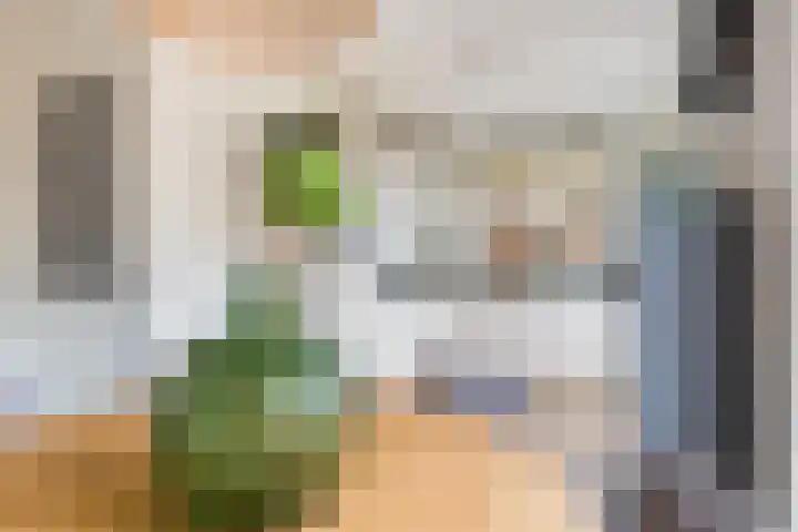 Vitruvius 1 Wijk bij Duurstede thumbnail 12
