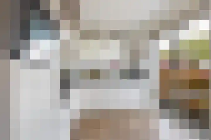 Vitruvius 1 Wijk bij Duurstede thumbnail 13