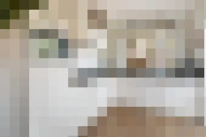 Vitruvius 1 Wijk bij Duurstede thumbnail 14