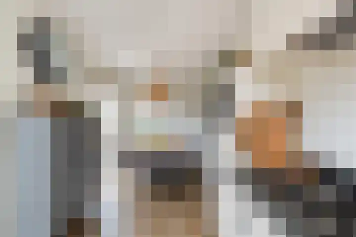 Vitruvius 1 Wijk bij Duurstede thumbnail 16