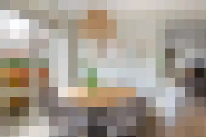 Vitruvius 1 Wijk bij Duurstede thumbnail 17