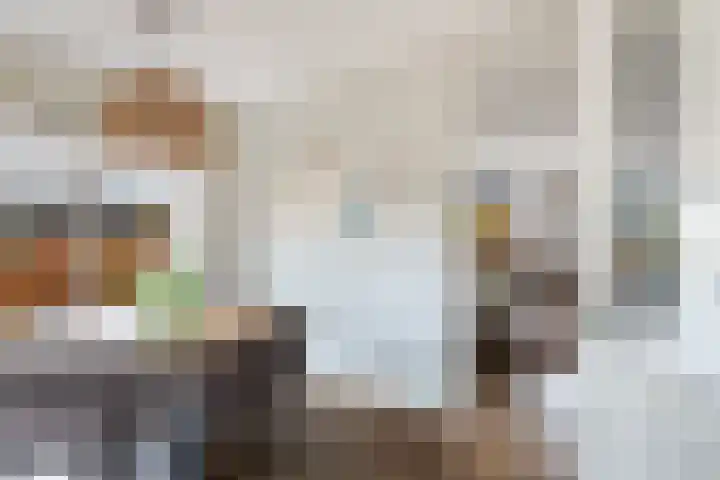Vitruvius 1 Wijk bij Duurstede thumbnail 18