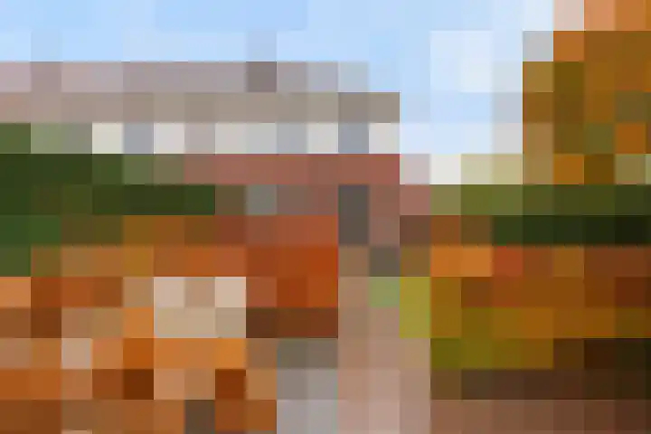 Vitruvius 1 Wijk bij Duurstede foto 2