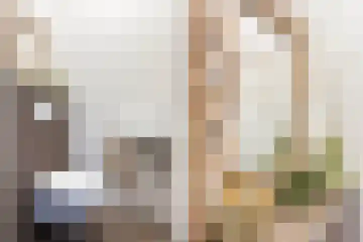 Vitruvius 1 Wijk bij Duurstede thumbnail 20