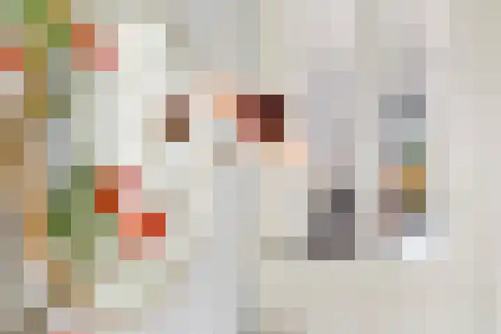 Vitruvius 1 Wijk bij Duurstede thumbnail 22