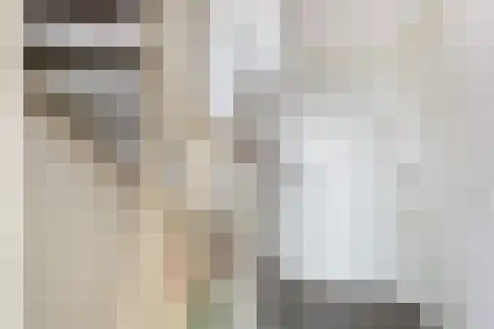 Vitruvius 1 Wijk bij Duurstede thumbnail 24