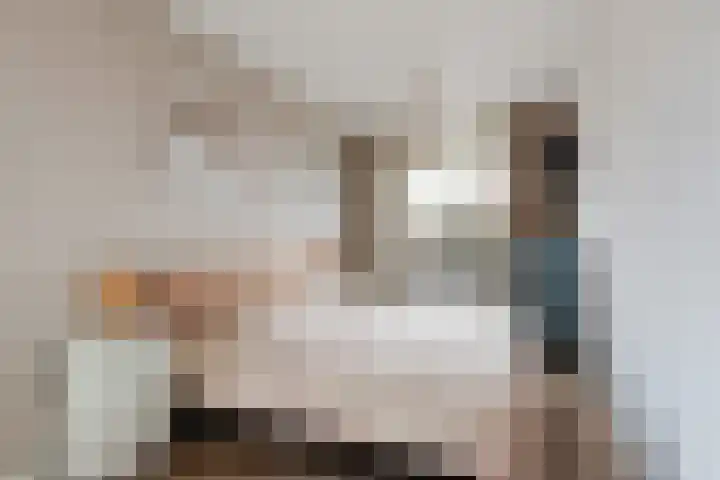 Vitruvius 1 Wijk bij Duurstede thumbnail 25