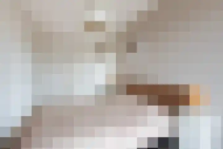 Vitruvius 1 Wijk bij Duurstede thumbnail 26