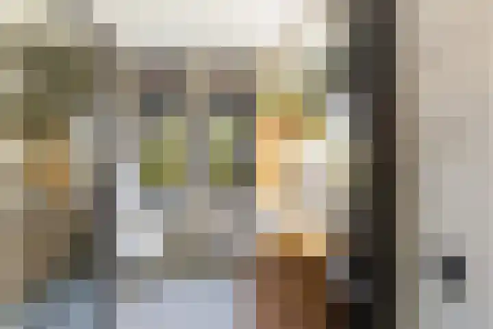 Vitruvius 1 Wijk bij Duurstede thumbnail 27