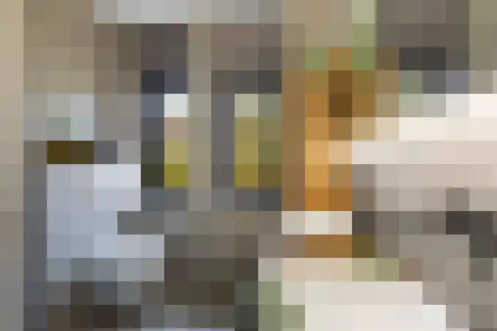 Vitruvius 1 Wijk bij Duurstede thumbnail 29