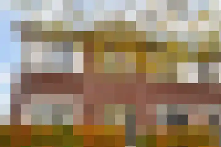 Vitruvius 1 Wijk bij Duurstede foto 3