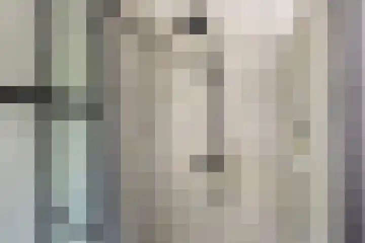 Vitruvius 1 Wijk bij Duurstede thumbnail 30