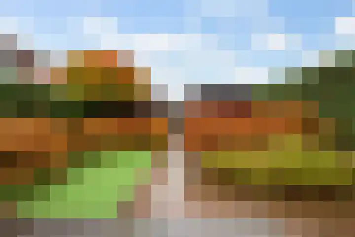 Vitruvius 1 Wijk bij Duurstede thumbnail 36