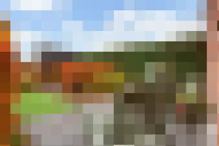 Vitruvius 1 Wijk bij Duurstede thumbnail 37