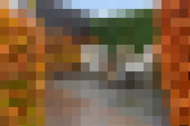 Vitruvius 1 Wijk bij Duurstede thumbnail 38