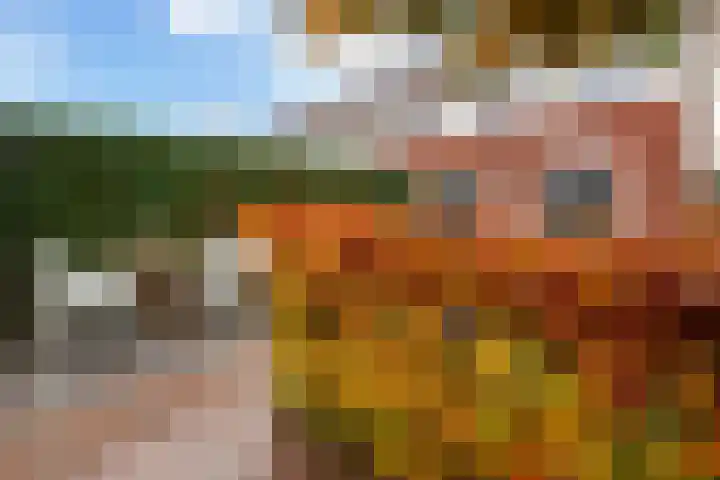 Vitruvius 1 Wijk bij Duurstede thumbnail 39