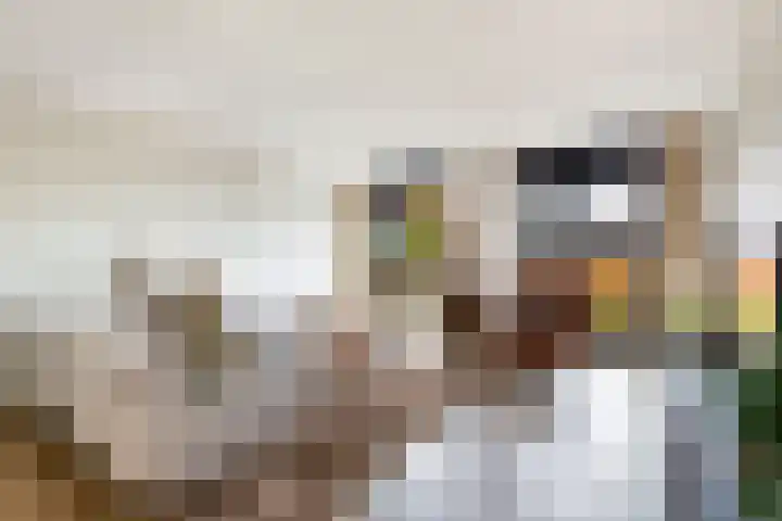 Vitruvius 1 Wijk bij Duurstede thumbnail 4