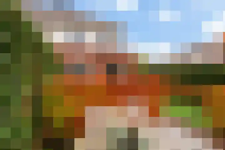 Vitruvius 1 Wijk bij Duurstede thumbnail 40
