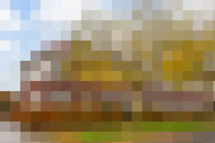 Vitruvius 1 Wijk bij Duurstede thumbnail 43