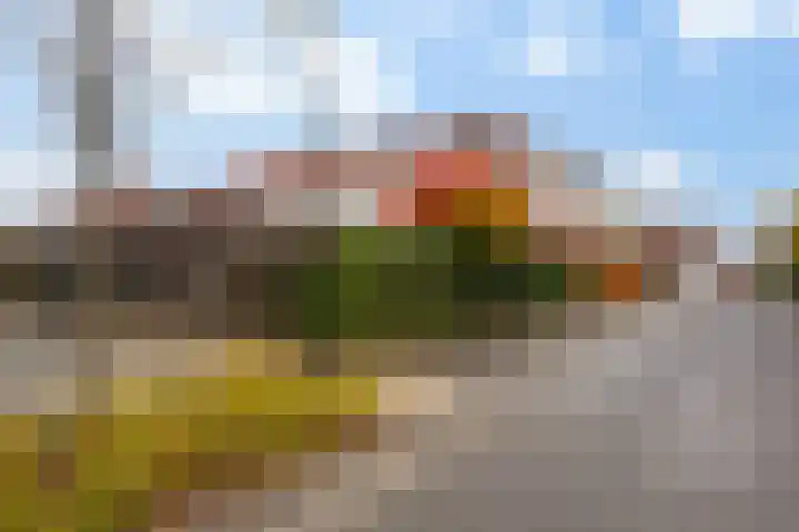 Vitruvius 1 Wijk bij Duurstede thumbnail 45