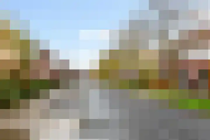 Vitruvius 1 Wijk bij Duurstede thumbnail 46
