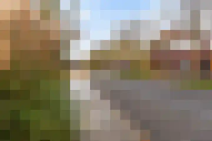 Vitruvius 1 Wijk bij Duurstede thumbnail 47