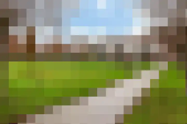 Vitruvius 1 Wijk bij Duurstede thumbnail 48