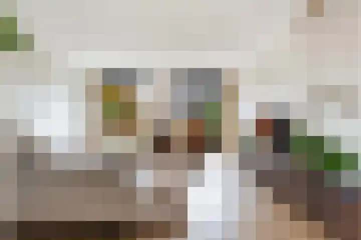 Vitruvius 1 Wijk bij Duurstede thumbnail 5