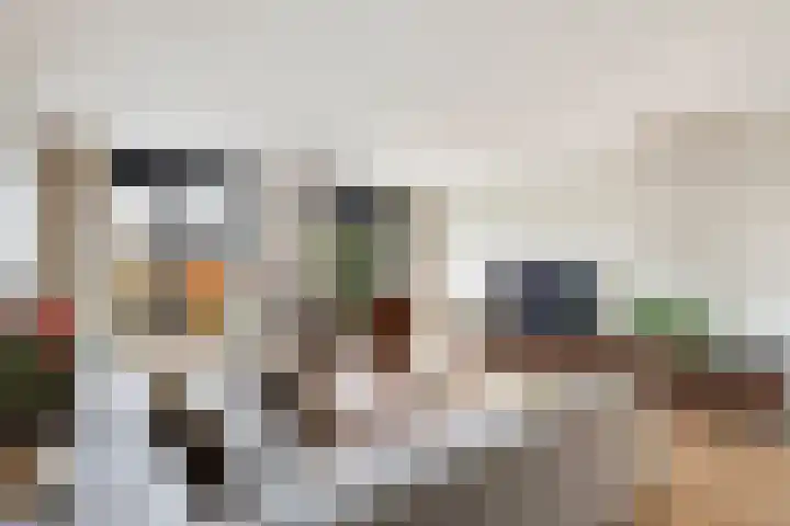 Vitruvius 1 Wijk bij Duurstede thumbnail 6