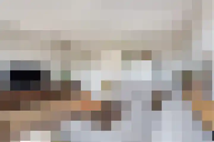 Vitruvius 1 Wijk bij Duurstede thumbnail 8