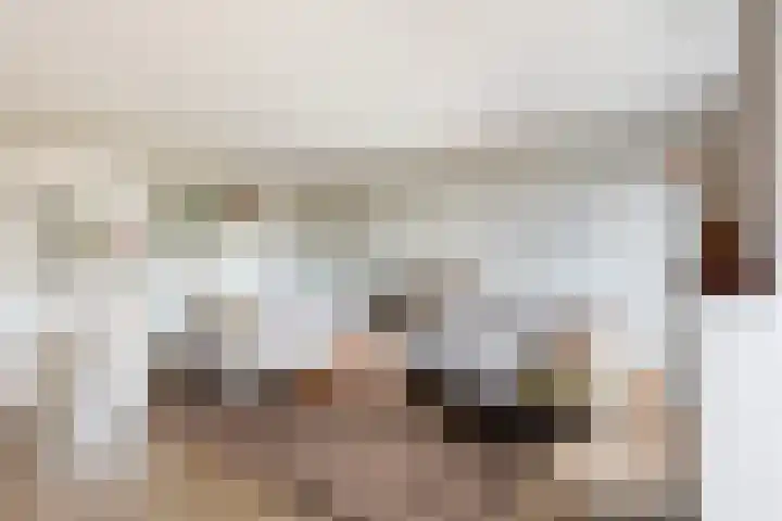 Vitruvius 1 Wijk bij Duurstede thumbnail 9