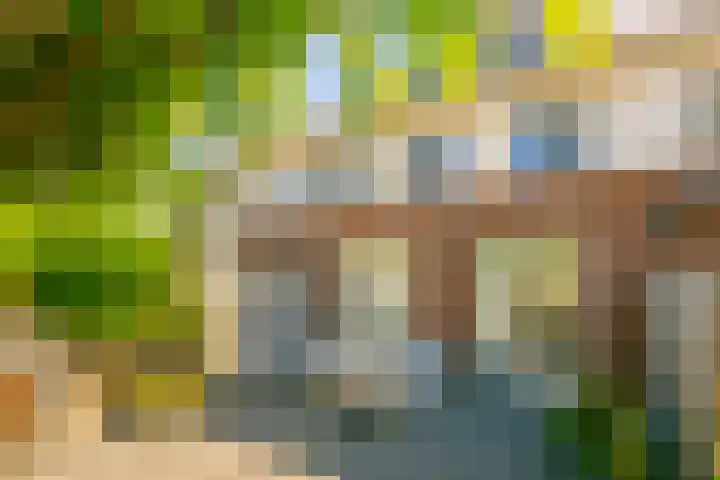 Vitruvius 6 Wijk bij Duurstede thumbnail 12