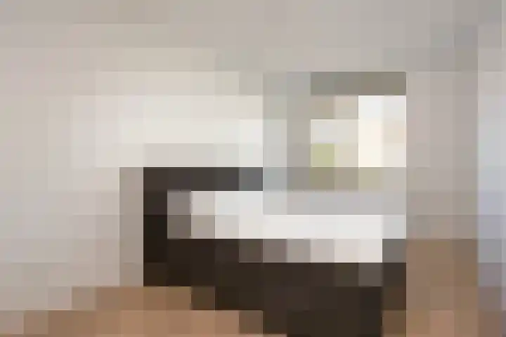 Vitruvius 6 Wijk bij Duurstede thumbnail 16
